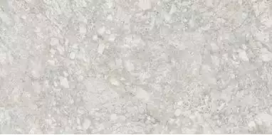 8084 MOON ROCK LIGHT GRAY 60x120