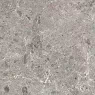 80RC33P Artic Gris Pulido 120x120