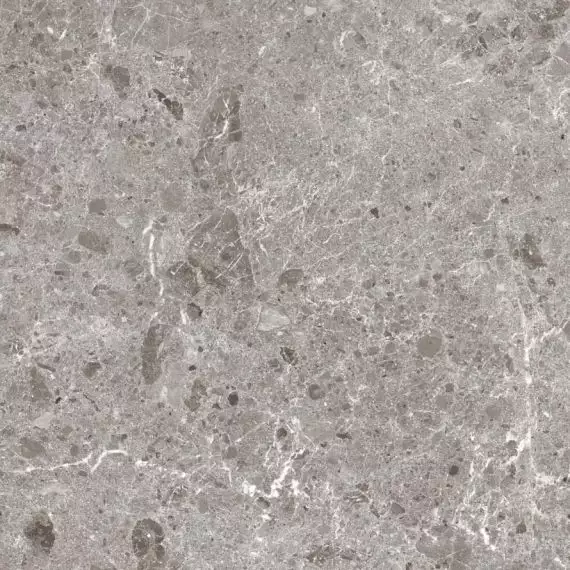 80RC33P Artic Gris Pulido 120x120