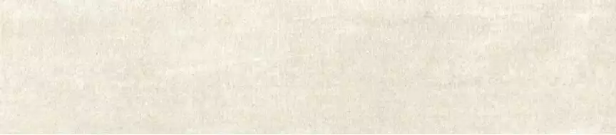 81189 Tavella Plaster 13x60.5