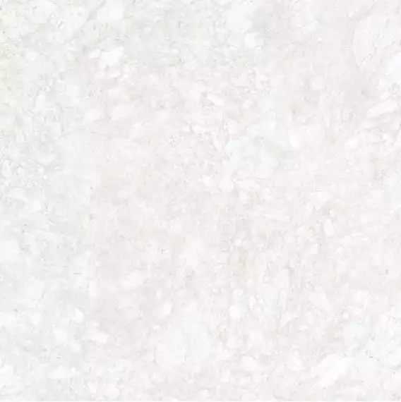 8342 SALINO MOON LIGHT 100x100