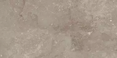 8429 BUXI SIENA 60x30