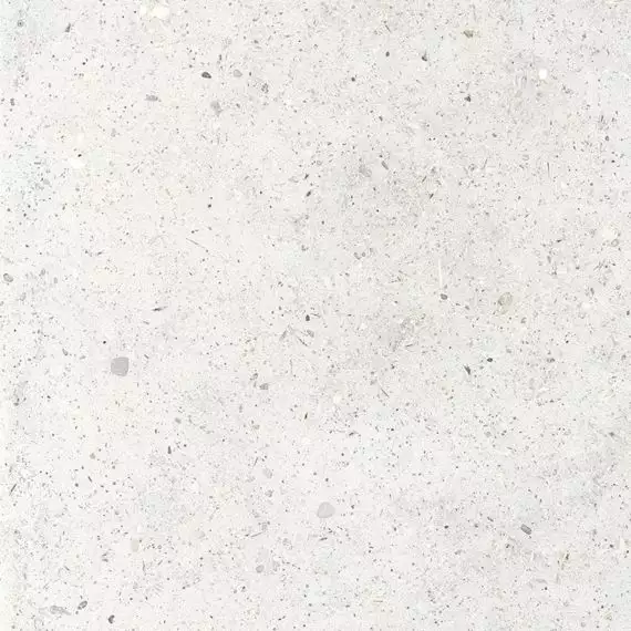866730 Whole Stone White Sq 60x60