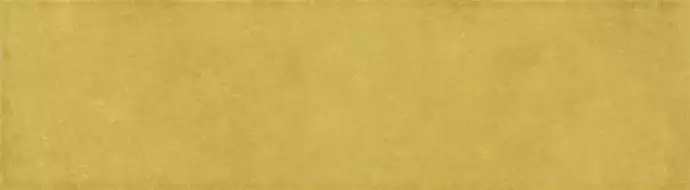 88283 Modulo Wall Curry 8.2x29.8