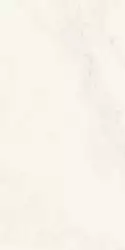 882 Керамогранит Predo Onyx 120x60