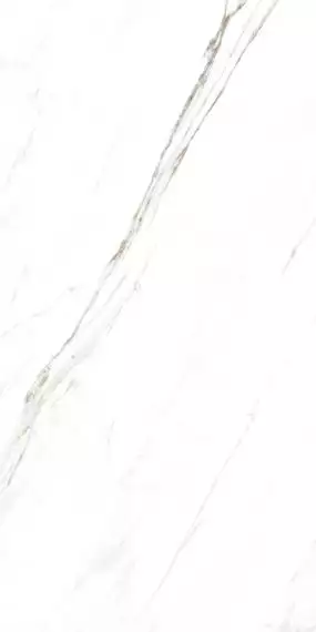 885 Керамогранит Calacatta Caldia 120x60