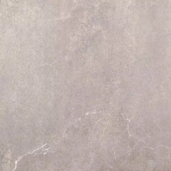 88D6 AVENUE-SPR GRIS LAPP 59,3x59,3