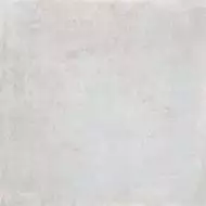 88N8 Lens-R Ceniza 59.3x59.3