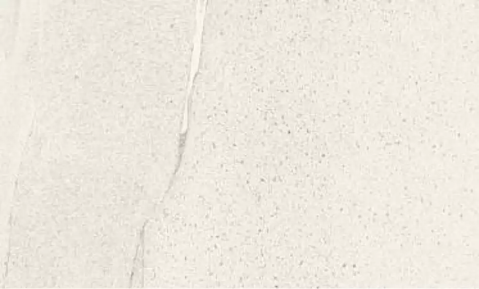 892219 BASALTO BIANCO SQ. 120X60