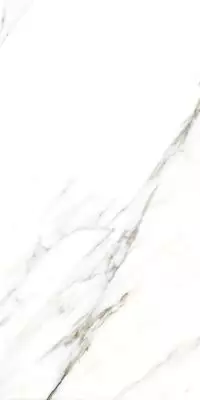 893 Керамогранит Fantastic White 120x60