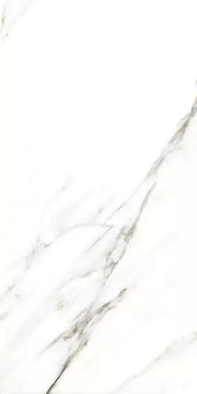 893 Керамогранит Fantastic White 120x60
