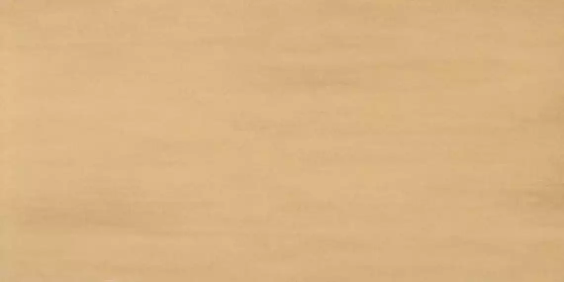 8ARD (8ARC) Arty Curry 40x80