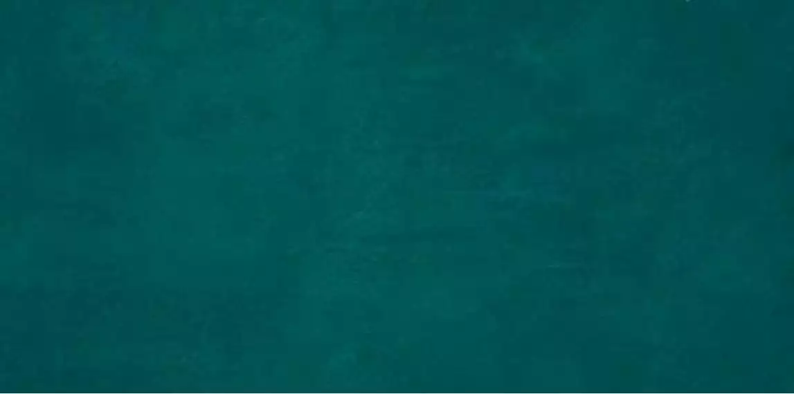 8E4F (8E4P) Ewall Petroleum Green 40x80
