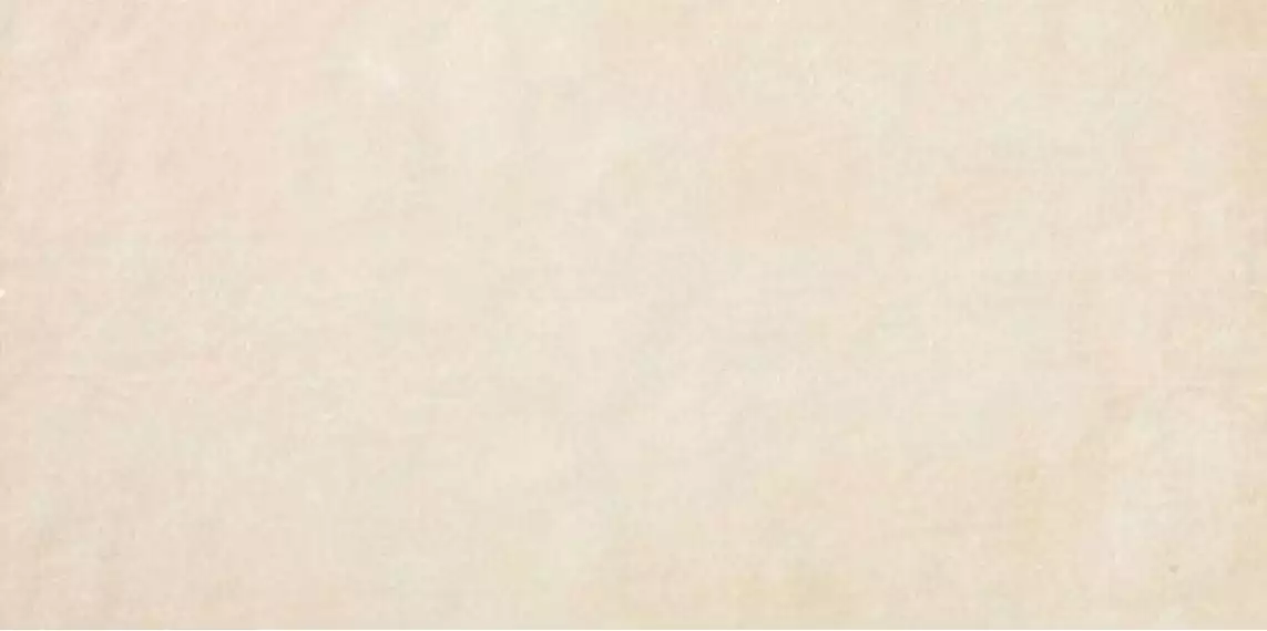 8E4Z (8E4W) Ewall White 40x80