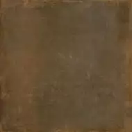 8L20 Lens-SPR Cobre 80x80