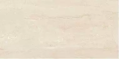 8M16 MARBLE DAINO-R REALE 44,3x89,3