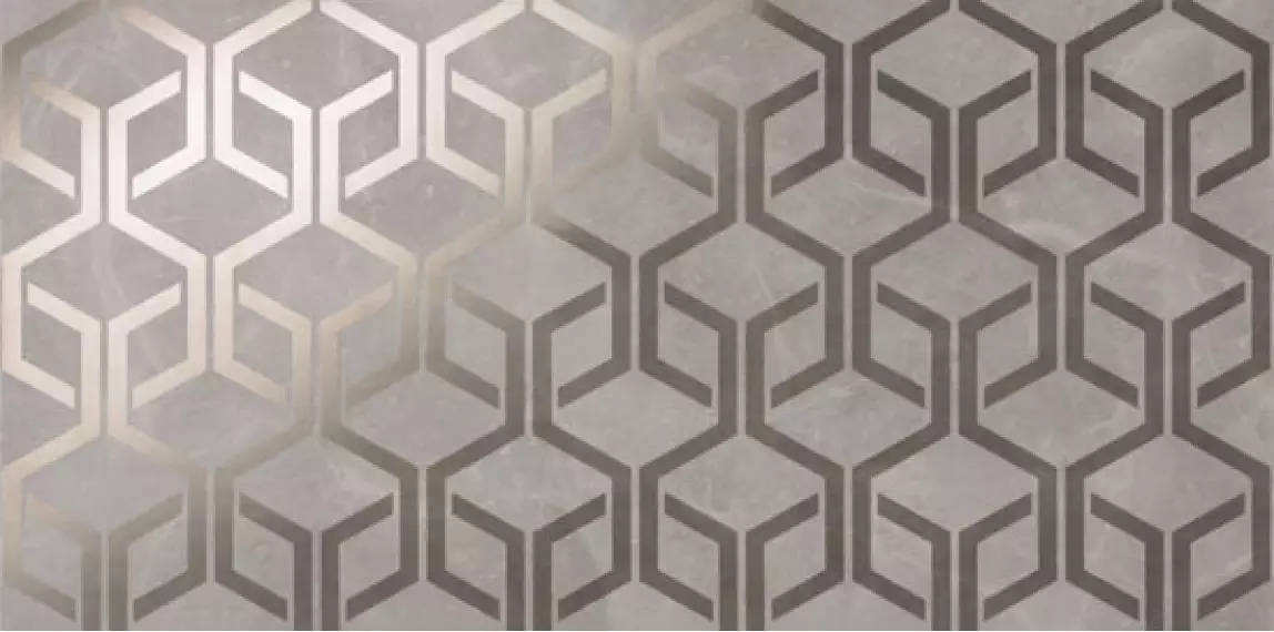 8MHG Marvel Grey Fleury Hexagon 40x80