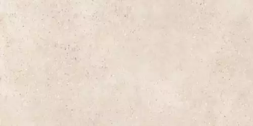 8P01 Tortona-R Beige 59.3x119.3