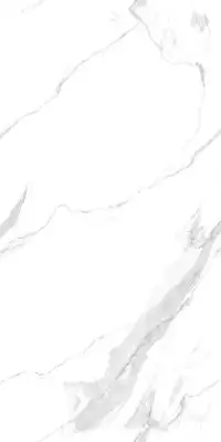 900 Керамогранит Statuario Fantastico 120x60