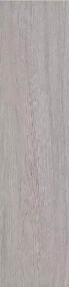 904623 Ordesa Gris 15x60