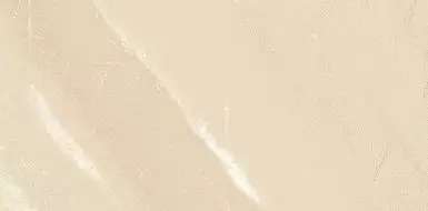 904933 Tibet Smooth Beige 60*120