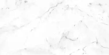 905541 Marble Carrara Blanco Liso 60x120