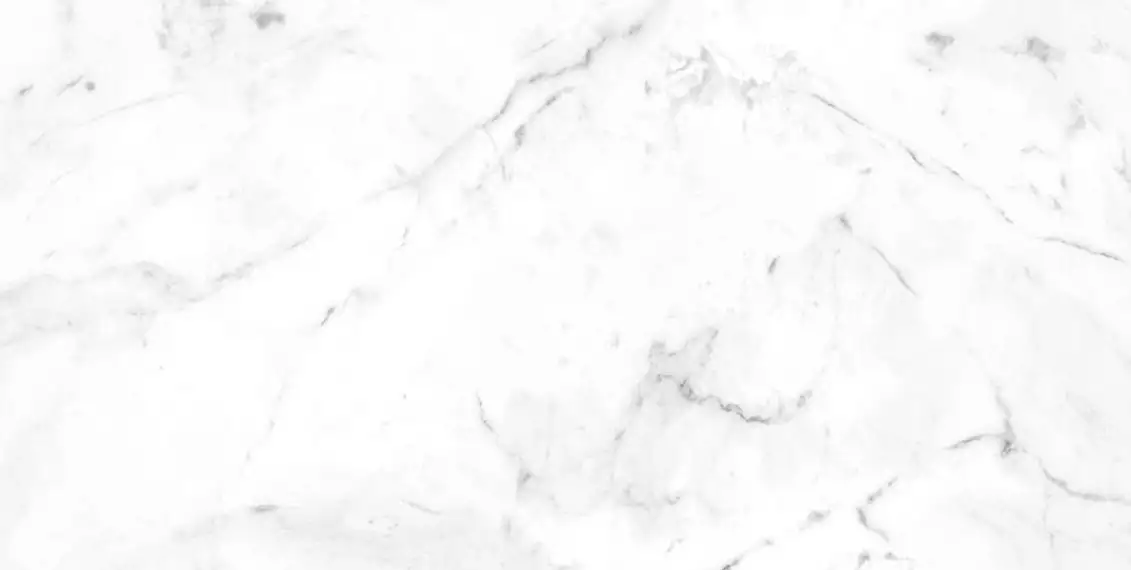 905541 Marble Carrara Blanco Liso 60x120