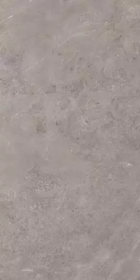 915 Керамогранит Luish Gris 120x60