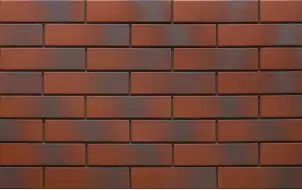 9546 Rot 24,5х6,5х0,65