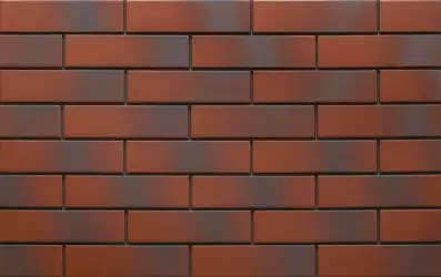 9546 Rot 24,5х6,5х0,65