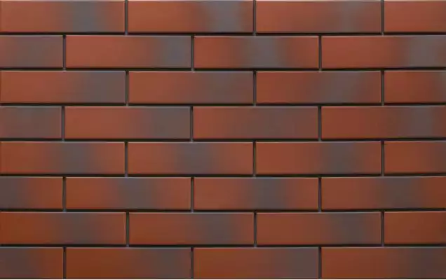 9546 Rot 24,5х6,5х0,65