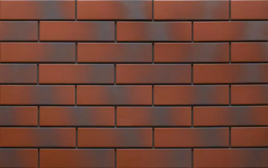 9546 Rot 24,5х6,5х0,65