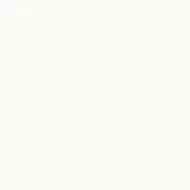 97062 ABSOLUTE WHITE RETTIFICATO 80X80