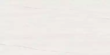 9MSB Marvel Bianco Dolomite 40x80