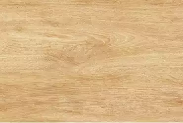 9VG0045TG Плитка Vega Бежевый Дерево 40x27