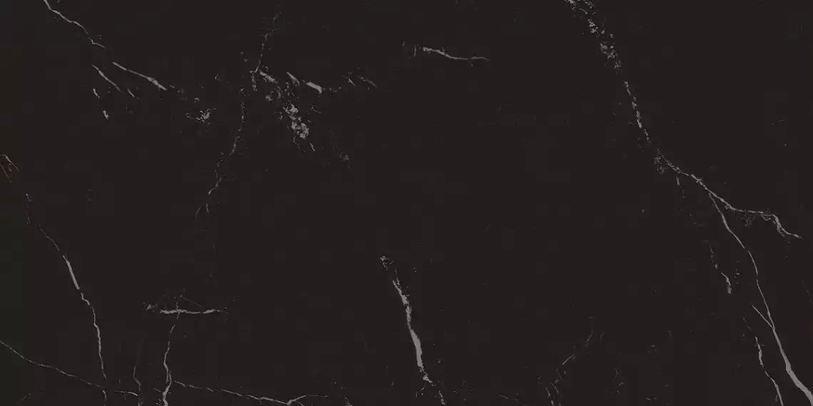 A035149 Nero Marquina 59*119