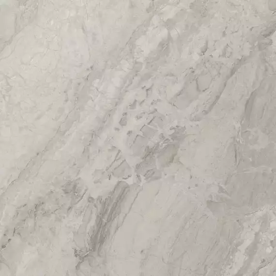 A036625 Rex Pearl 60x60