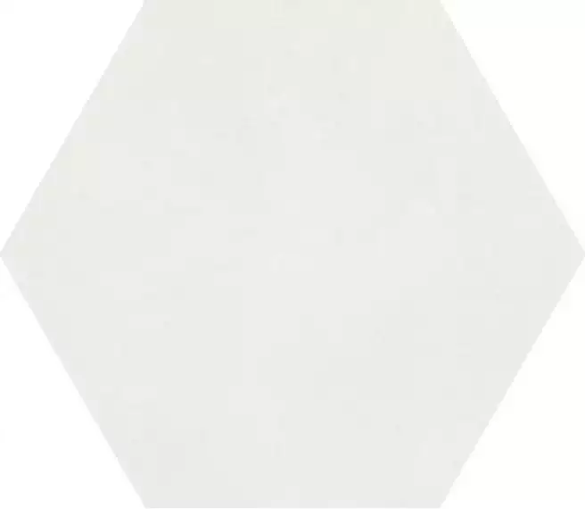 A037097 MACBA Coconut Milk 23x26