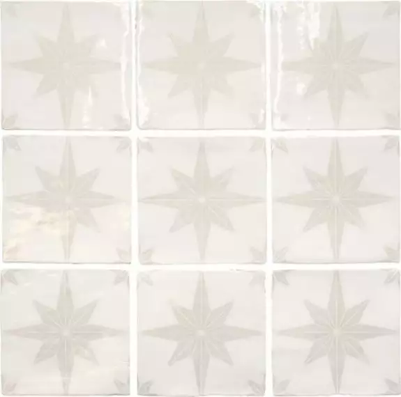A037553 Carmo White 13x13