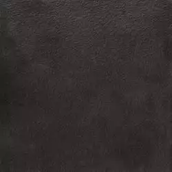 A037712 Nisus Nocta Rect 60х60