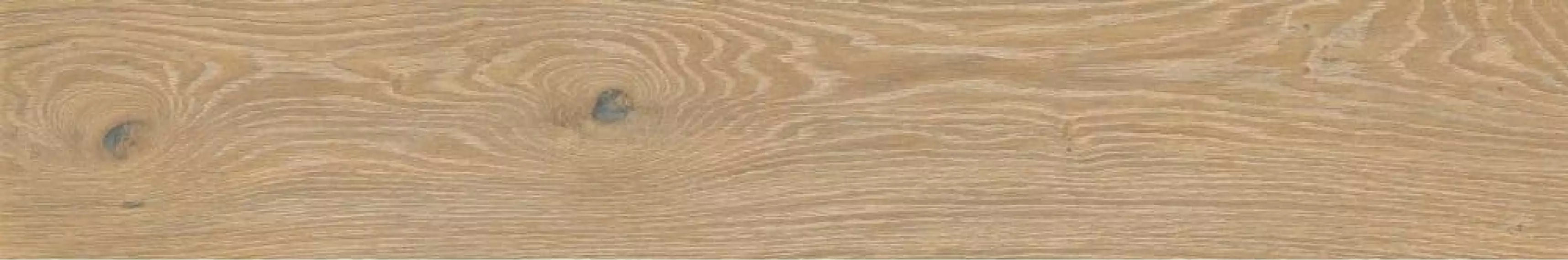 A037811 Triana Desierto Rect 20x120