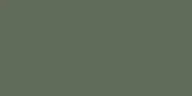 A037945 Sap Matt Rect 60x120