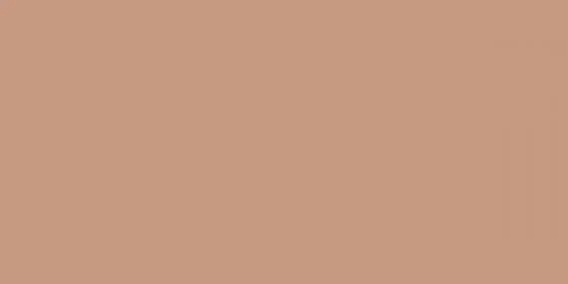 A037947 Terracotta Matt. Rect 60x120