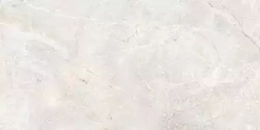 A039601 Керамогранит Augustus Pearl Natural rect 60x120