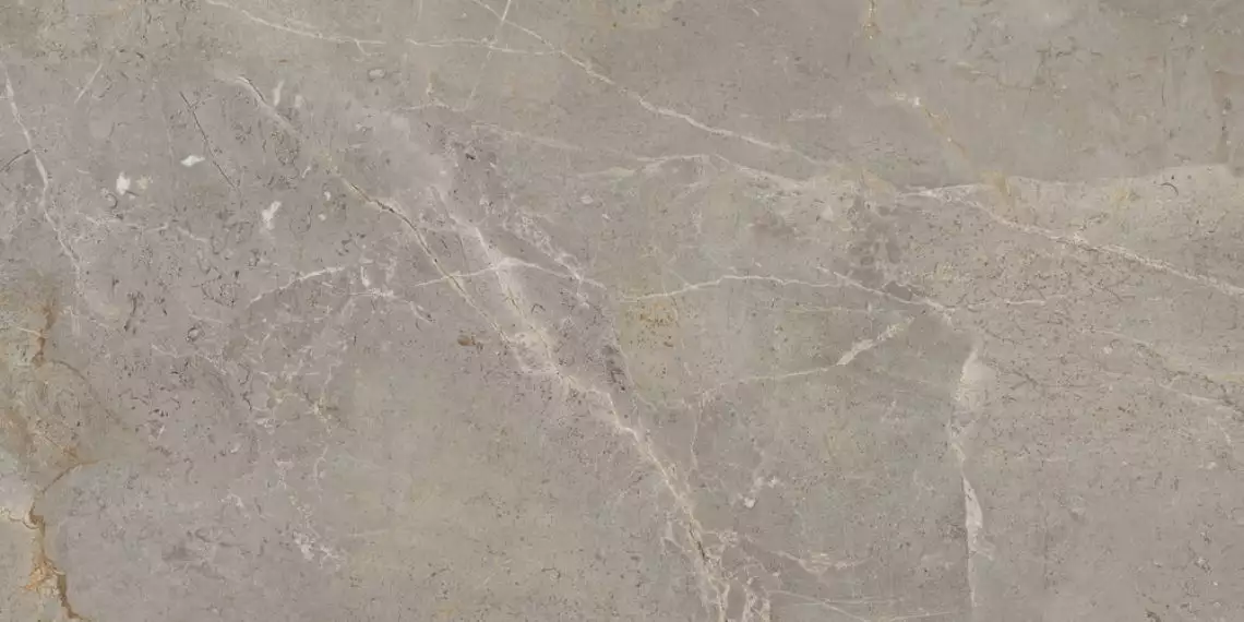 A039603 Керамогранит Augustus Brown Natural rect 60x120