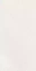 A042731 Плитка Caprice White Rect 60x120