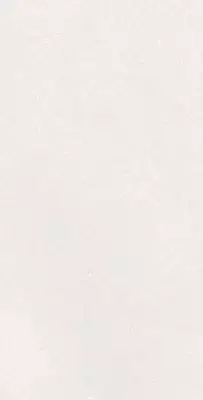 A042731 Плитка Caprice White Rect 60x120