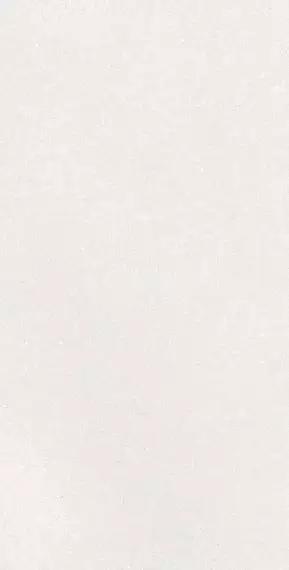 A042731 Плитка Caprice White Rect 60x120