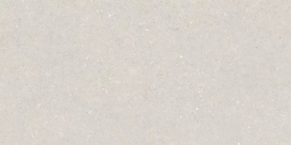 A042746 Плитка Essence White Rect 60x120