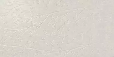 A042750 Плитка Divine White Rect 60x120
